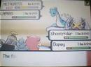 Pokemon Wi-Fi Battle Vs Thunderblast 18 May 2008 Pokemon Wi-Fi Battle Vs Thunderblast 18 May 2008