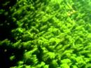 Typhoon 3D high alt... Typhoon 3D high alt...