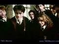 Friends From the Beginning -- Harry, Ron & Hermione