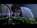 Infection Movie Trailer
