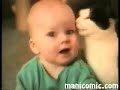 Videos caseros de gatos