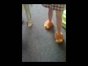 Dancing on a SCRUM