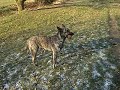 filpmje doerak noa1 filpmje doerak noa1