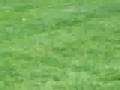 videos de Stalking Josh & Aimairani Part 2