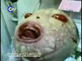 www.caytv.com.tr (snake baby) Icon