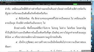 วิสุทธิมรรค ตอน ๗๑