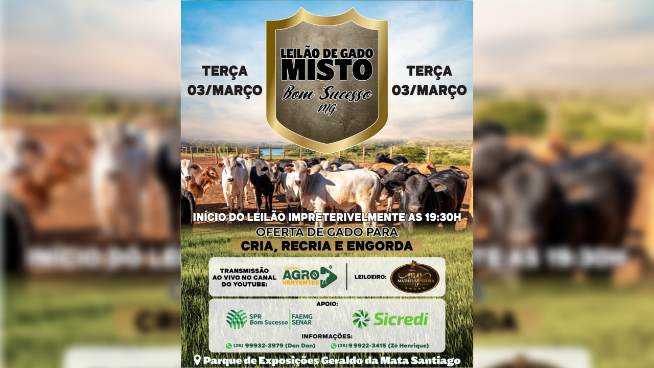 LEILÃO MISTO SINDICATO RURAL DE BOM SUCESSO E IBITURUNA/MG - 03/03/2025