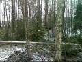 remu ja hirviemä melkein puukonpisto etäisyydellä