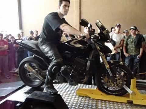 600 hornet