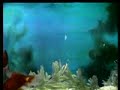 Classic Sesame Street - Octopus's Garden - Thumb #1