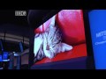 CEATEC: Mitsubishi's OLED has unlimited size
