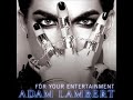 Adam Lambert's debut album For Your Entertainment available everywhere 11/23!