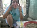 . . . Ana y un pico . . . . . . Ana y un pico . . .