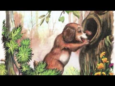 Сказки на ночь 12 ноября 2016.
