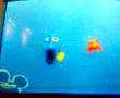 Dori(?) Hablando cetaceo