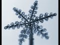 Click here to watch this video Snowflake growth