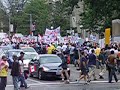 Rally Footage 1