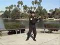 BASIC BO STAFF Nintaijutsu