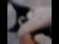 ahhhhhhhhhhhhh u little bitch