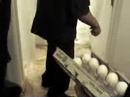 After losing a bet because she couldn't obtain video of an asian midget like she said she would, Heide of the Chaos Radio Show was faced with three choices. Either give cohost Rhodian her soul, dress up as princess Leia during the Jabba the Hut scene or take 40 eggs to her ass. She chose punishment by egging.