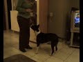 Luka en het vrouwtje ! Luka en het vrouwtje !