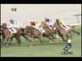 [レースリプレイ] 080927 4阪神5 04R 新馬