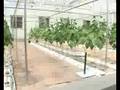Turismo, ecología y agricultura en Disney
