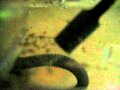 Guarda video