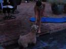 Guinness In The Pool