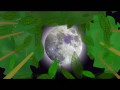 Hide and Go Seek with the Moon by Eric Herman