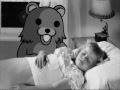 PEDO BEAR