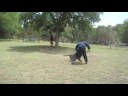 Villier-Face Attacks 2