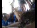 videos de PAMBA AL 