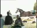 Zidine