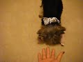 mybabygirlbiiru-BiiRu after Grooming.AVI