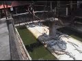 Crocodile Fishing In Thailand