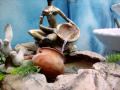 fuente de agua con negra feng shui. jardines