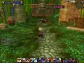 WoW Multiboxing Tiger in ZG