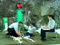 The DCMT Long-bone (leg) Splinting Standard