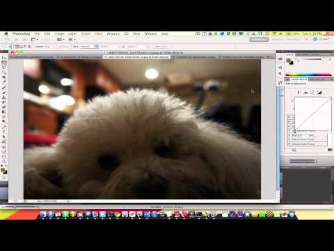 Touchups - In our second Basics of Photoshop lesson we take a look at color correction, touching up bad parts of a photo, and enhancing a portrait.