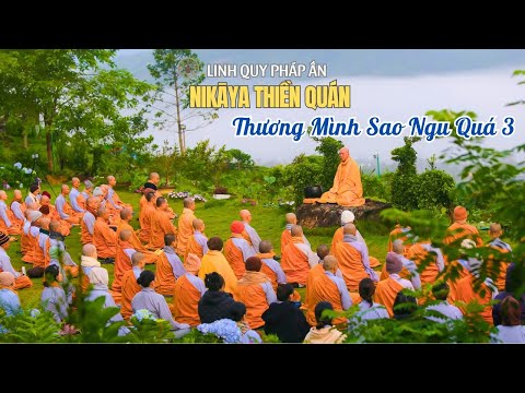 NIKAYA Thiền Quán - Thương Mình Sao Ngu Quá 3 *