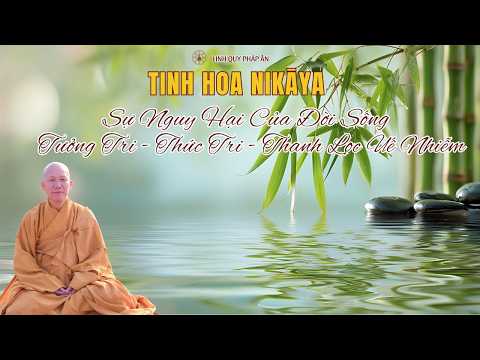 Tinh Hoa NIKAYA - Sự Nguy Hại Của Đời Sống - Tưởng Tri -Thức Tri -Thanh Lọc Uế Nhiễm