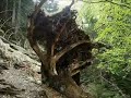 Tessin Leventina Rene Aubry (Part1)
