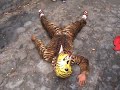 Danza del Tigre y El Venado Danza del Tigre y El Venado
