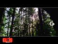 Click here to watch this video ELVIS PRESLEY PRESENTS..... LIFE THE TRUE STORY OF US 2012 VERSION