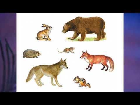 Тема рассказа зверь: найдено 85 изображений