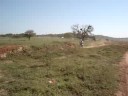 corrida das traquitanas
