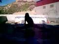shannyn-doing-splits