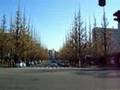昼撮 神宮外苑通り avenue JinguuGaien