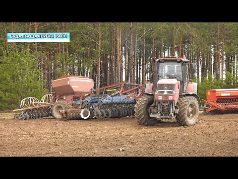 Пасяўная кампанія ў рэгіёне амаль завершана видео